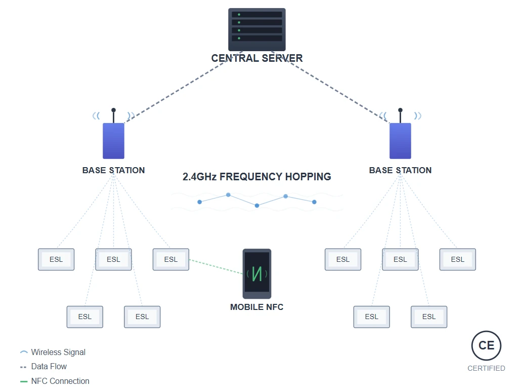 Wireless Communication and Network Architecture